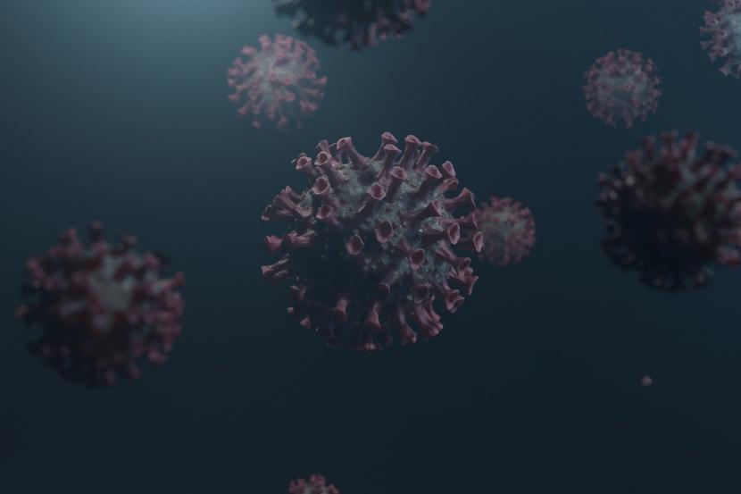 Virus Covid-19 (ilustrasi). Food and Drug Administration (FDA) telah memberikan otorisasi penggunaan darurat untuk tes diagnostik pernapasan Covid-19.