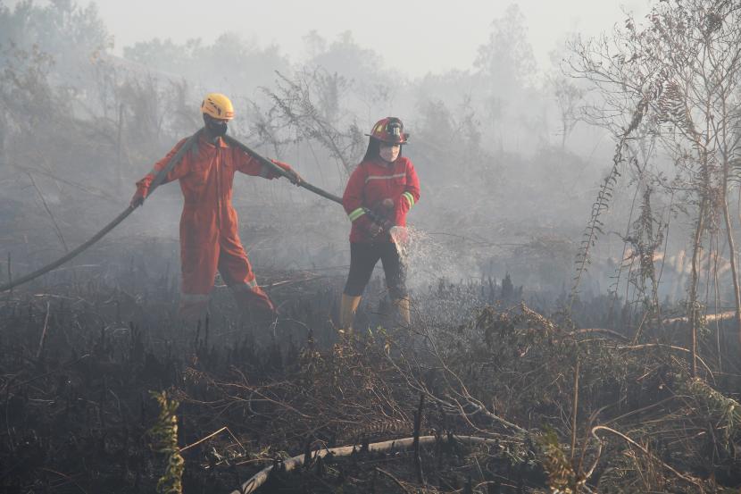 Dua petugas pemadam kebakaran melakukan pembasahan pada lokasi kebakaran lahan gambut (ilustrasi).