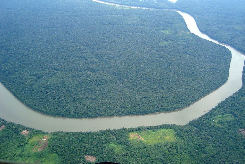 Hutan hujan Amazon. Elon Musk bertemu dengan Presiden Brasil, Jair Bolsonaro, untuk membahas konektivitas internet dan proyek lain di hutan Amazon.