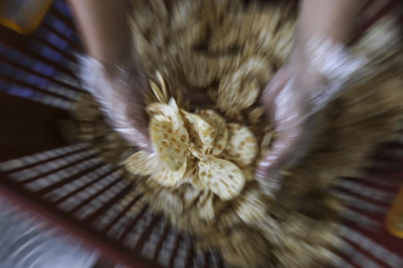 Keripik tempe (ilustrasi). Konsulat Jenderal RI di New York, Amerika Serikat, mempromosikan tempe di kota itu sebagai bagian kolaborasi dengan Women