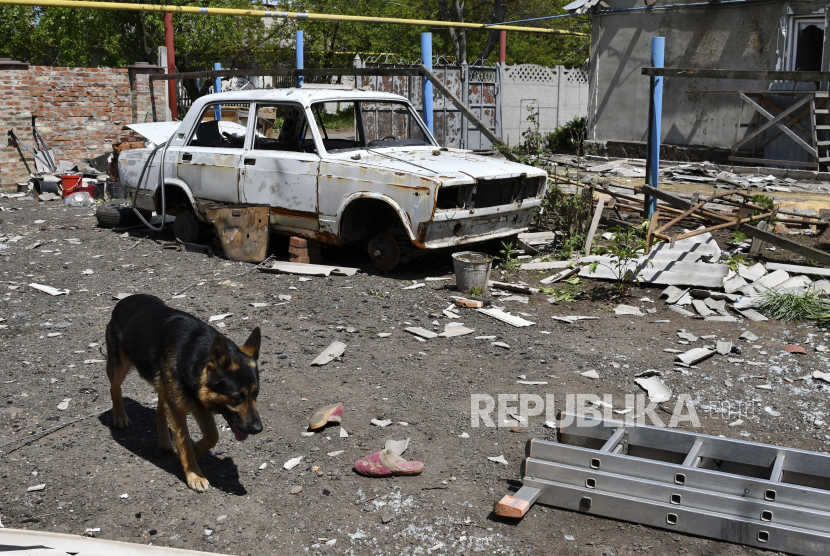 Seekor anjing berjalan melewati mobil yang rusak di halaman rumah yang dihancurkan oleh tembakan Rusia di Toretsk, wilayah Donetsk, Ukraina, Senin, 16 Mei 2022.