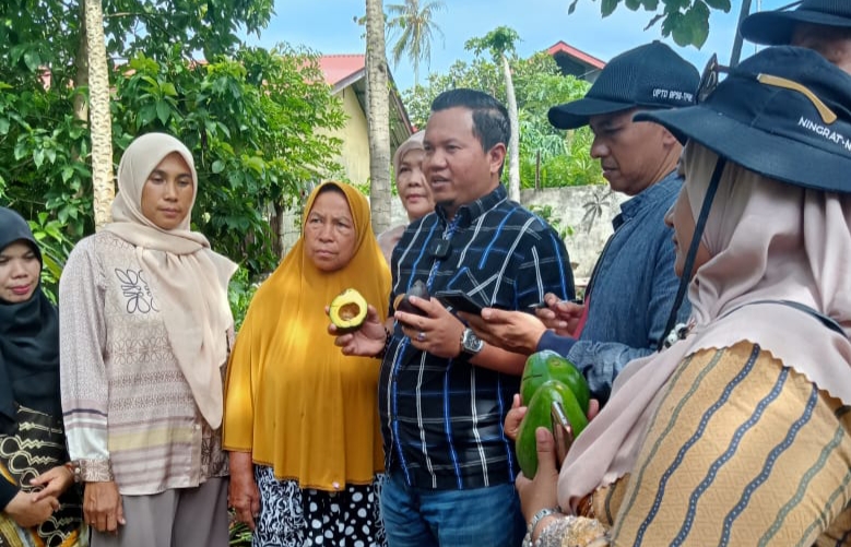 Alpokat Sabang Punya Prospek untuk Dikembangkan