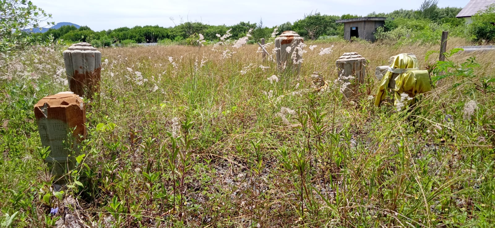 Cut Putri: Pemerintah Segera Jadikan Situs Makam di Gampong Pande sebagai Cagar Budaya