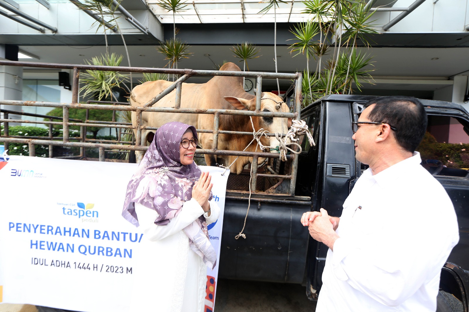 Pemko Terima Sapi Kurban dari PT Taspen Banda Aceh, Bakri Siddiq: “Akan Dibagikan kepada Masyarakat Kurang Mampu”