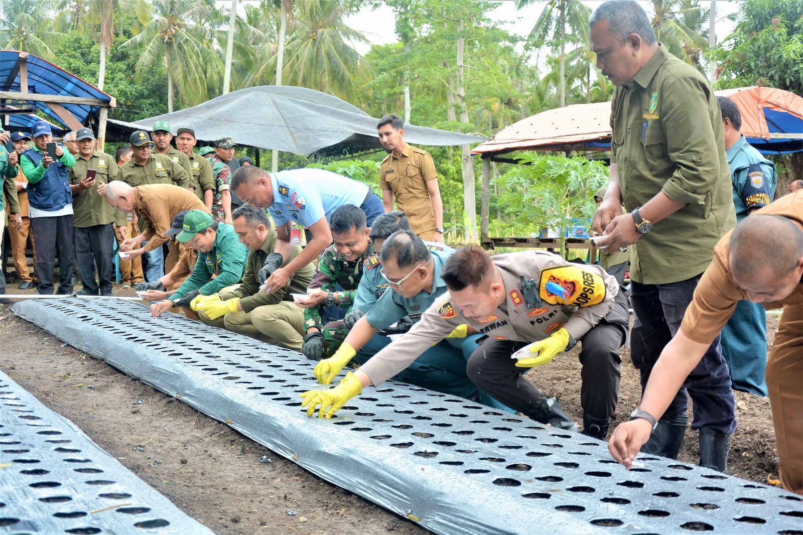 Tekan Inflasi, Pemko Sabang Bagikan 2000 Kilogram Bibit Bawang Merah