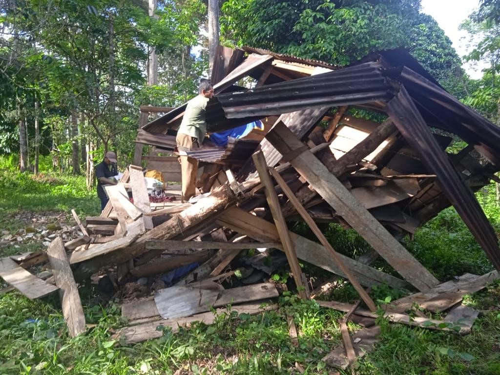 Pondok kebun yang dirusak gajah jinak CRU Sampoiniet. Foto : Dok. CRU Sampoiniet