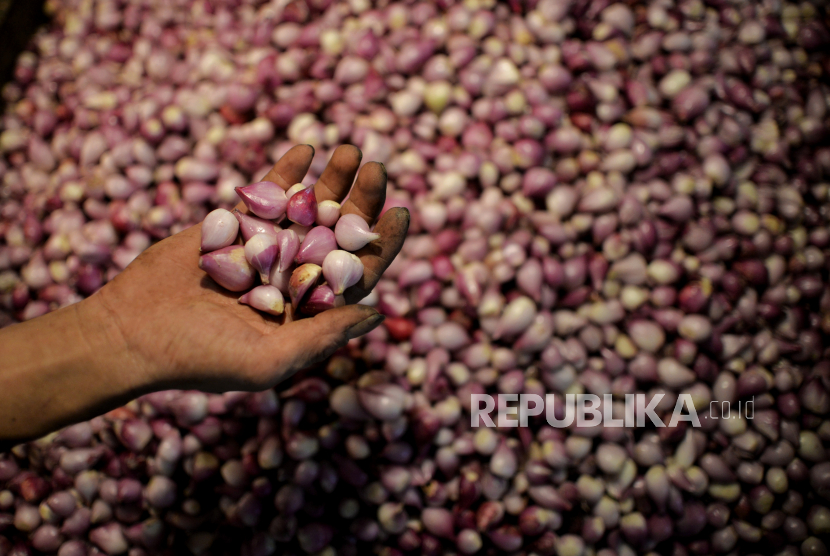 Pedagang menyortir bawang merah (Foto: bawang merah)