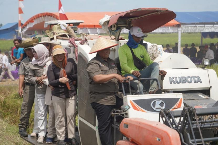 Wagub Kalteng dan jajaran saat melakukan panen perdana padi di Desa Belanti Siam Kabupaten Pulang Pisau.