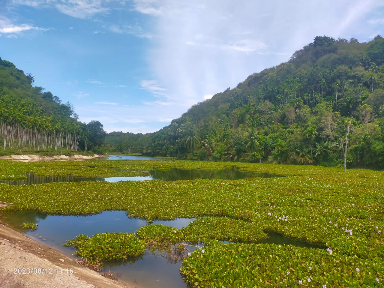 Selamat, Keberadaan Hutan Adat di Aceh Diakui Negara