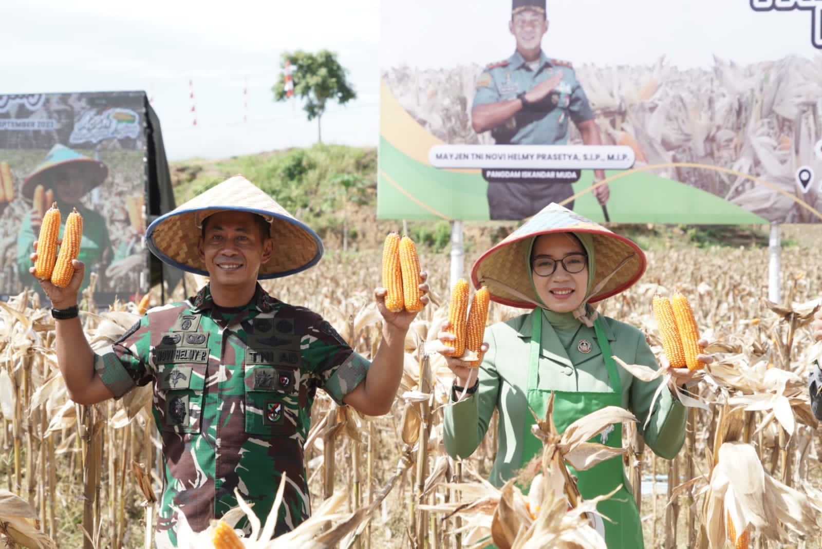 Program I’M Jagong yang Diprakarsai Pangdam IM Panen Perdana