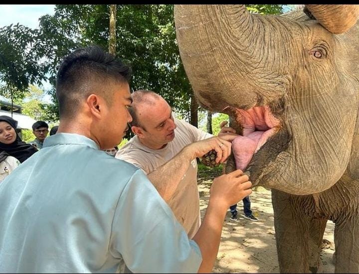 Sosok Cristoper Sang Ahli Gajah, 37 Tahun Terjun Aktif dalam Konservasi