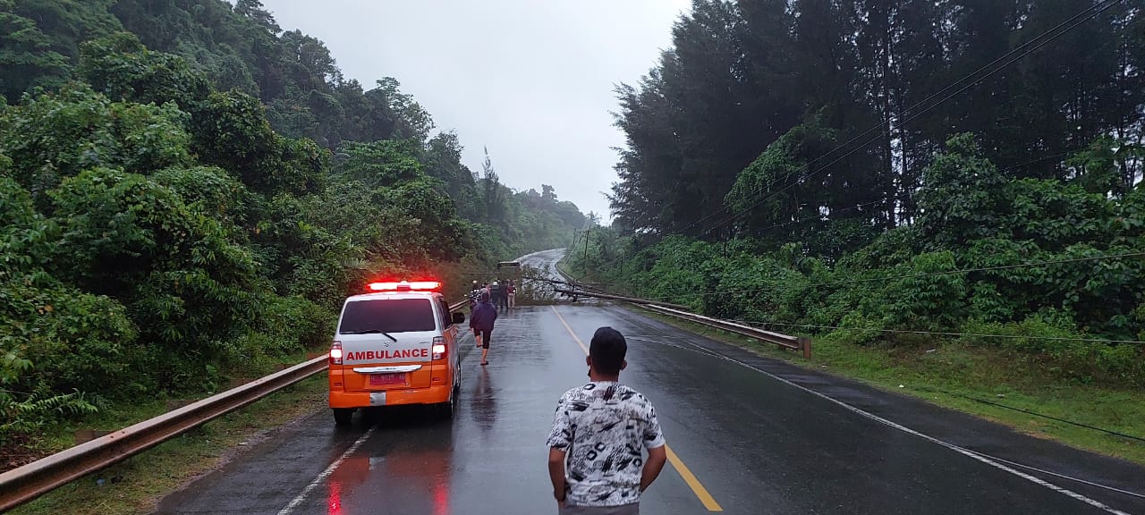 Hujan Deras dan Pohon Tumbang Sebabkan Arus Lalu Lintas di Aceh Jaya Macet