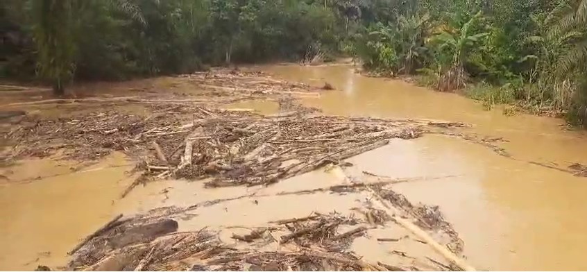 Sungai Singgersing Tercemar Diduga Dampak Land Clearing Perkebunan Sawit