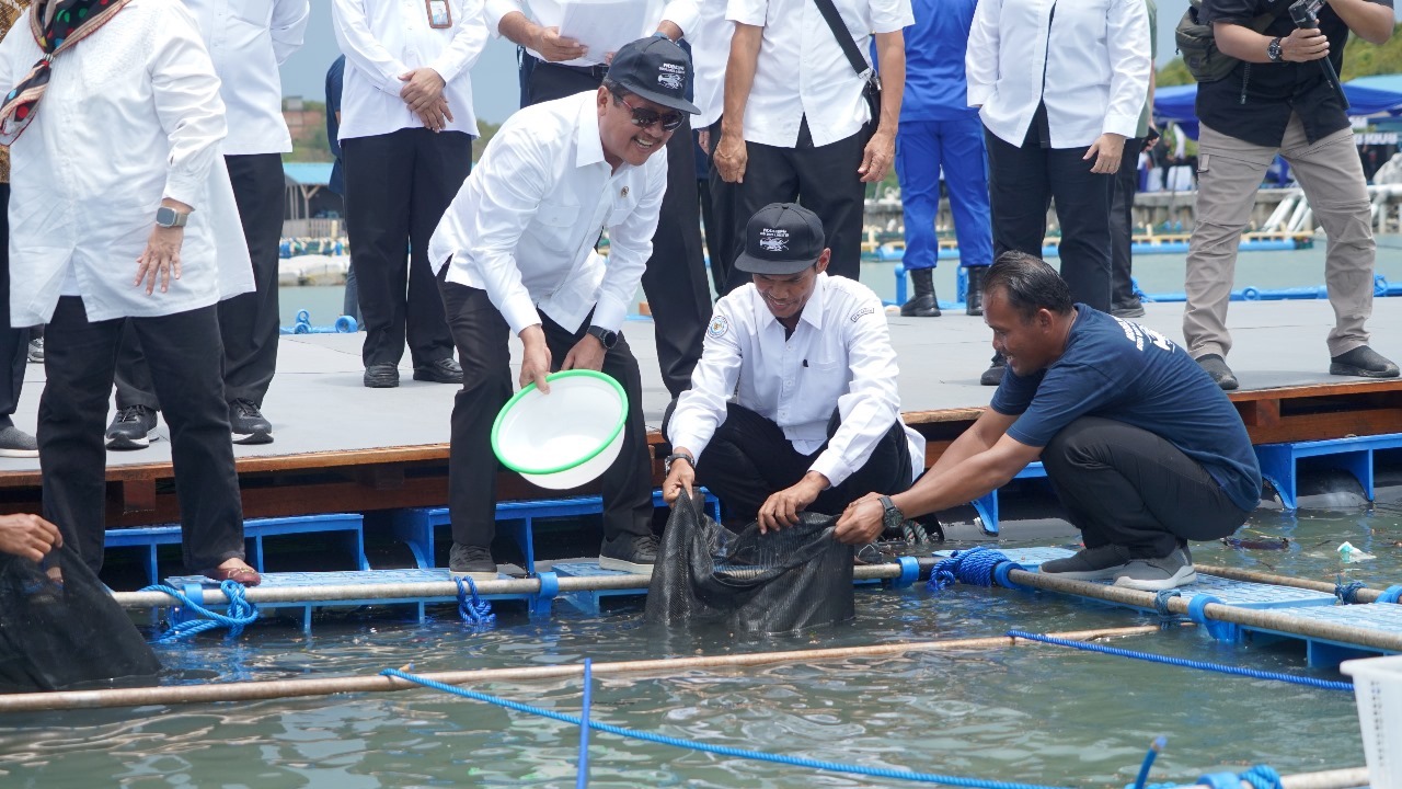 Budi daya Lobster Diresmikan Menteri Trenggono di Batam, Bisakah Mengatasi Penyelundupan?