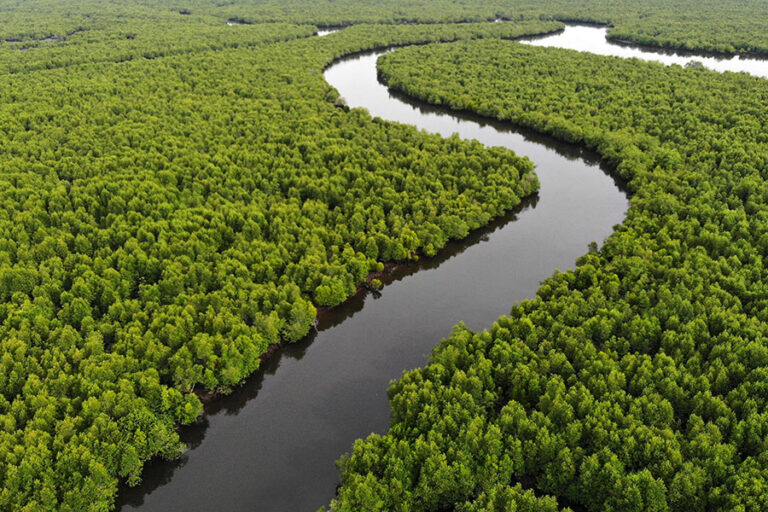 COP29: Organisasi Masyarakat Sipil Soroti Soal Pendanaan Iklim