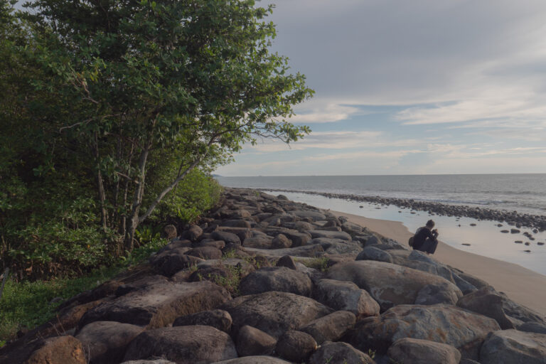Kala Mangrove Pelindung Kota Padang Terus Tergerus