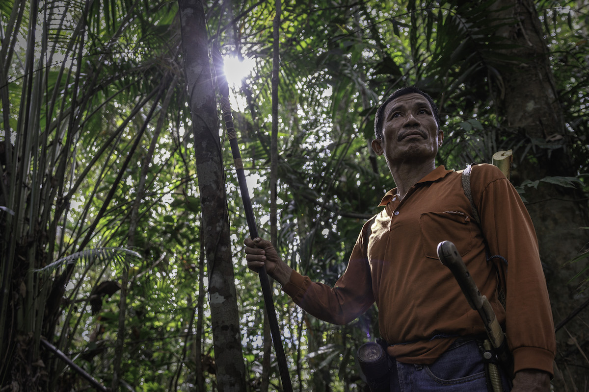 Nasib Warga Saat Perusahaan Datang Incar Hutan untuk Pelet Biomassa