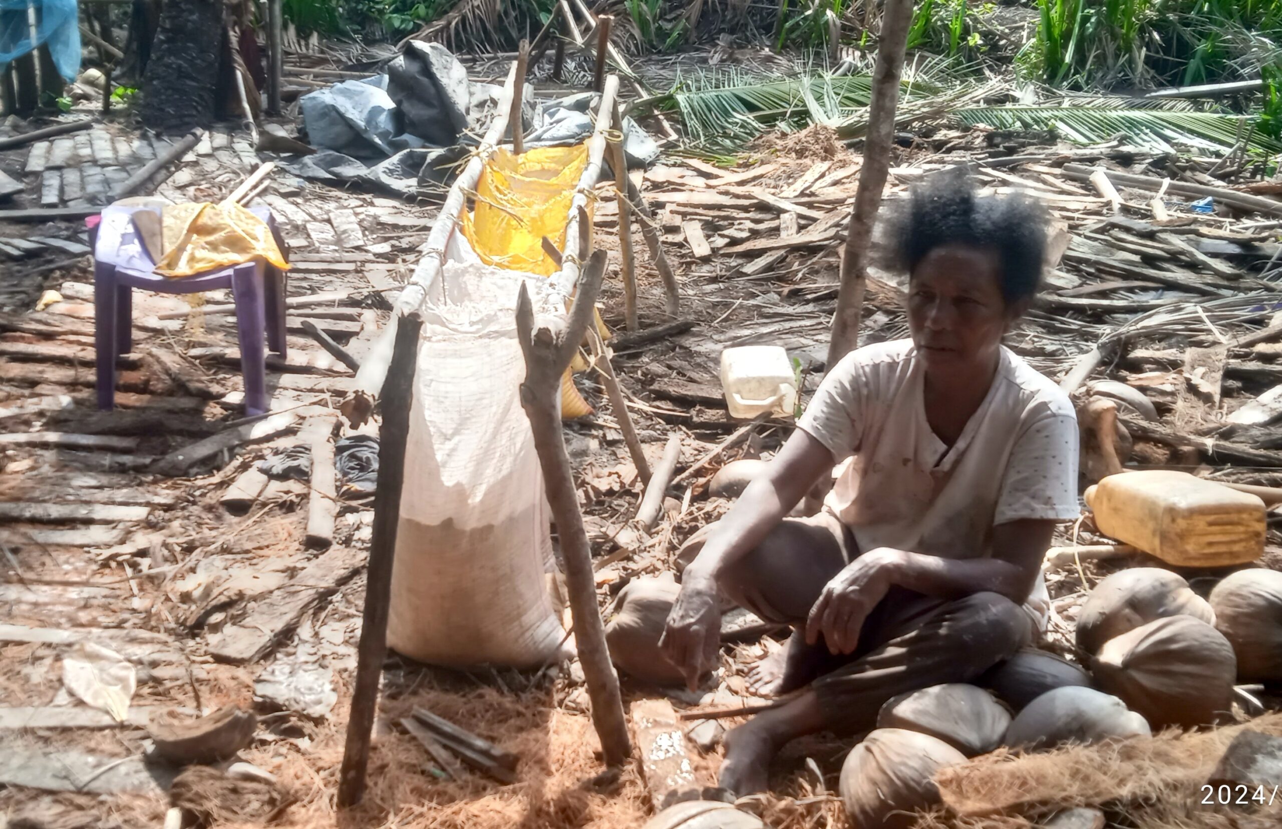 Sagu, Pangan Warga Bicoli yang Terdesak Tambang