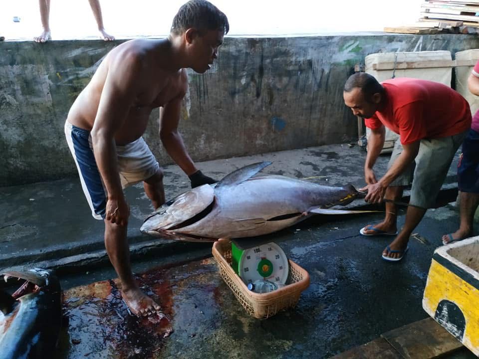Zonasi Perikanan PIT: Ancaman atau Peluang bagi Nelayan Tuna Sulawesi Utara?