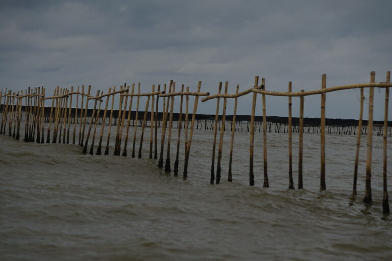Polemik Pagar Laut 30,16 Km di Tangerang