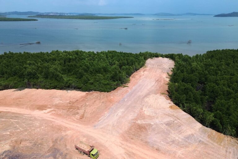 Akankah Hutan Mangrove Batam Lenyap Demi Industri?