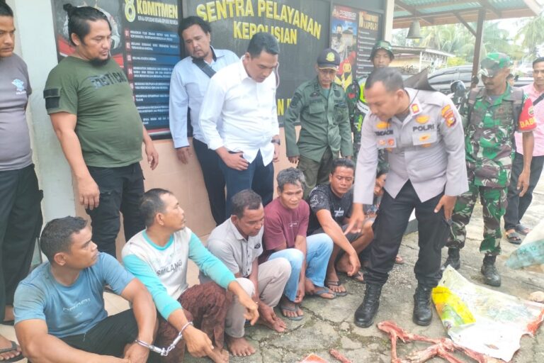 Harimau Sumatera Tewas Mengenaskan di Rokan Hulu
