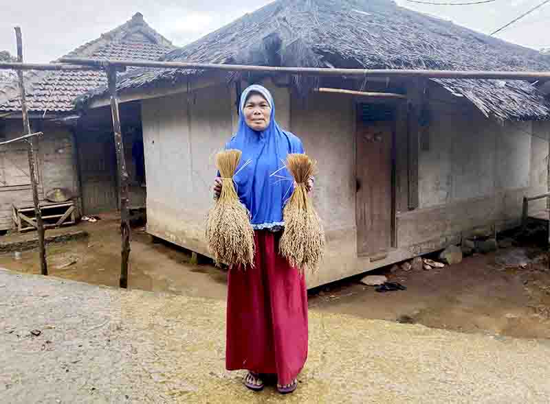 Masyarakat Kasepuhan Jamrut: Pertahankan Padi Lokal untuk Pangan
