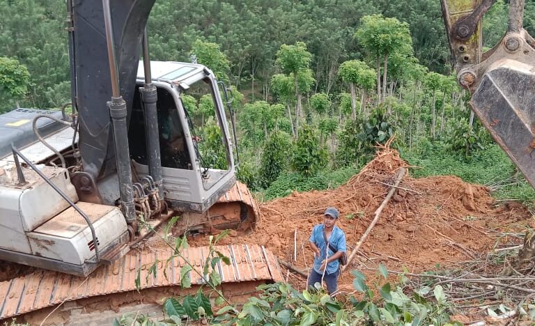 Warga Rakawatu Keluhkan Kebun Merica Tergerus Sawit