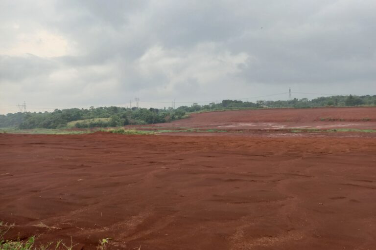 Banjir Datang Kala Lahan Hijau Desa Iwul Hilang?