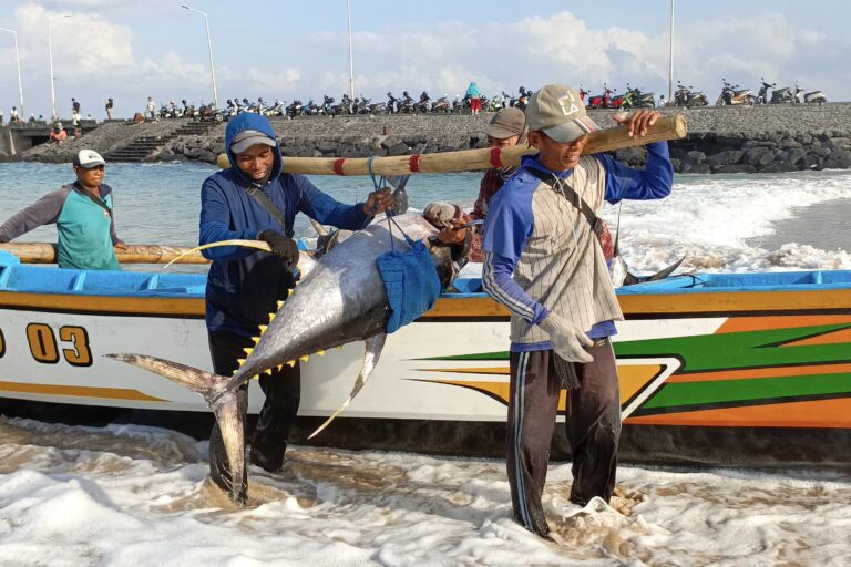 Dorong Transparansi Rantai Pasok Industri Tuna 