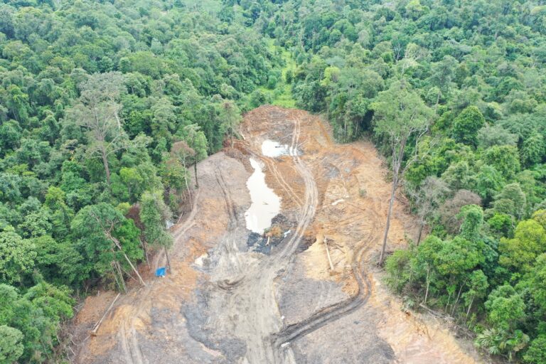 Hutan Pendidikan Universitas Mulawarman Terbabat Tambang Batubara