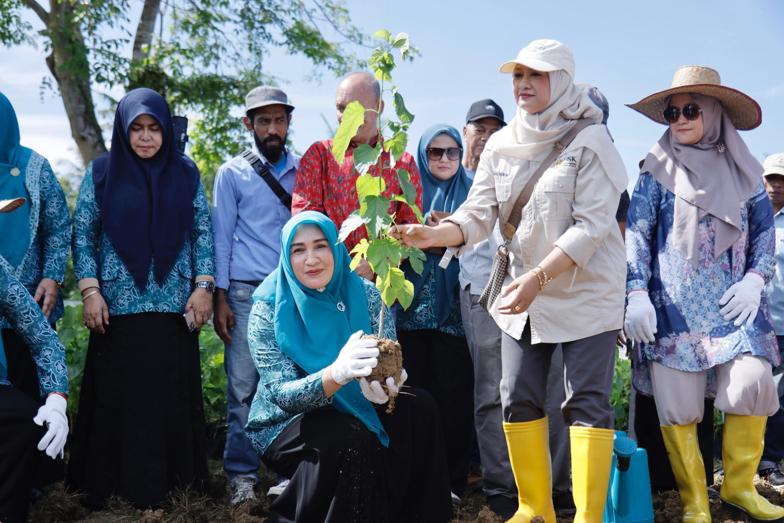 Marlina Muzakir Tanam Murbei, Dorong Kebangkitan Sutera Aceh