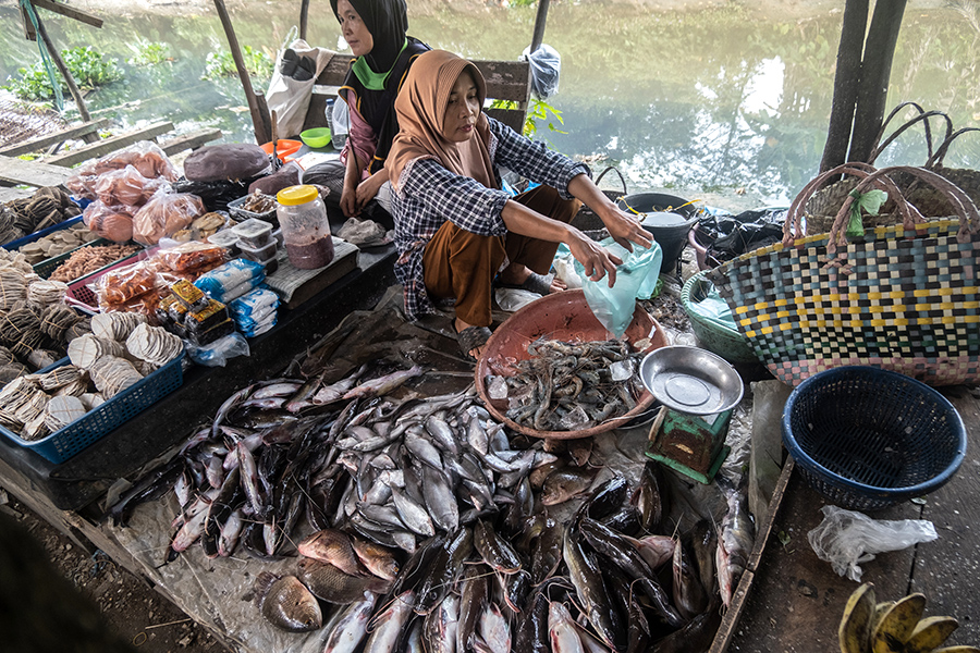 Ikan, Kuliner, dan Kisah Perempuan yang Mulai Kehilangan Nafas di Lahan Basah