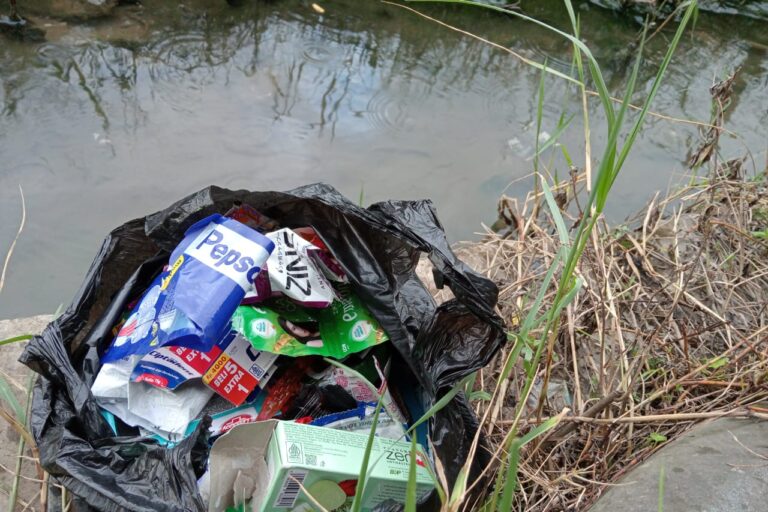 Kelompok Muda Beraksi Atasi Sampah Plastik di Pesisir Sumut
