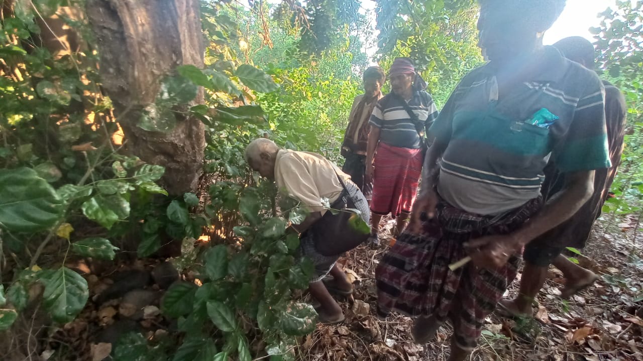 Nasib Suku Soge Natarmage dan Goban Runut di Talibura