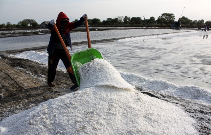 KKP Butuh Rp25 Miliar untuk Revitalisasi Tambak Garam Terdampak Banjir di Aceh
