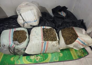 Polda Aceh Ungkap Peredaran 50 Kg Ganja di Bireuen, Satu Terduga Pelaku Ditangkap