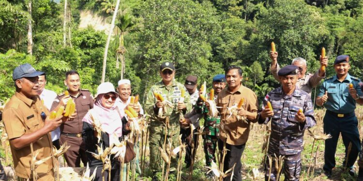 Panen Perdana Jagung Pipil di Balohan, Pemko Sabang Dorong Ketahanan Pangan Gampong
