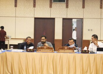 Gubernur Mualem: Revisi UUPA untuk Hindari Potensi Konflik Aceh di Masa Depan