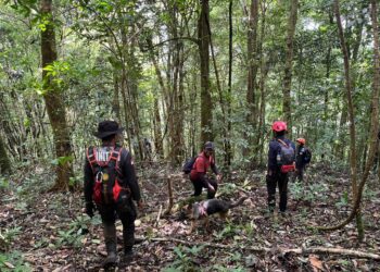 Basarnas Kerahkan Drone dan K-9 Cari Pendaki Hilang di Gunung Seulawah