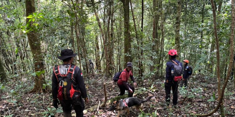 Basarnas Kerahkan Drone dan K-9 Cari Pendaki Hilang di Gunung Seulawah