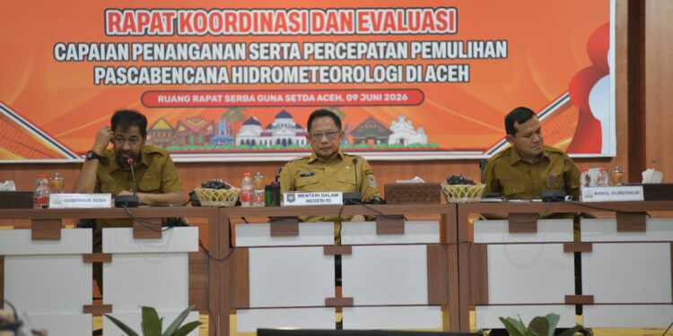 Di Hadapan Mendagri, Mualem Minta Percepatan Pemulihan Sawah dan Infrastruktur