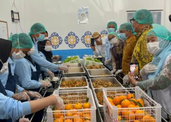 Kunjungi Aceh Tenggara, Menteri Wihaji Cek Langsung Program Makan Bergizi Gratis