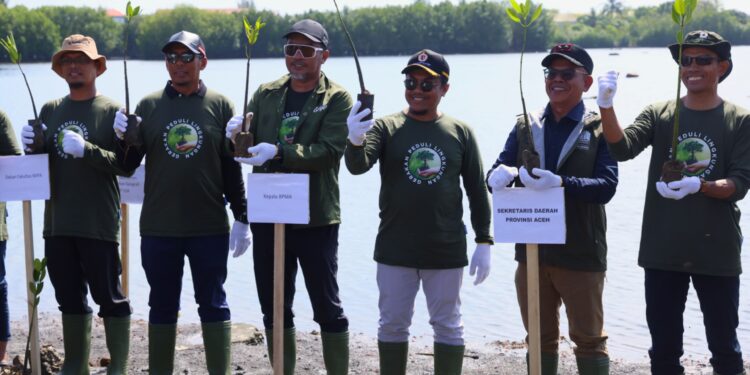 BPMA dan Medco E&P Malaka Gelar Aksi Tanam 1.000 Mangrove di Banda Aceh