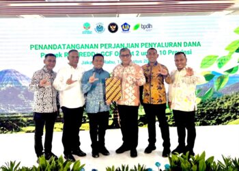 Capaian Penurunan Emisi Diakui, Gubernur Mualem Perkuat Tata Kelola Hutan Aceh