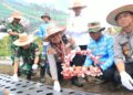 Dukung Swasembada Pangan, Kapolda Tanam Bawang Putih di Aceh Tengah