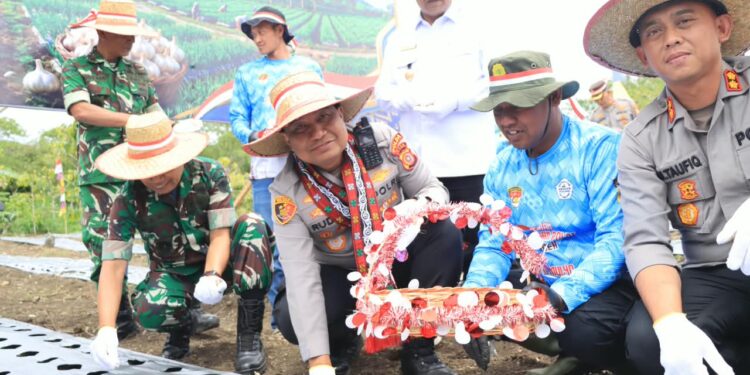 Dukung Swasembada Pangan, Kapolda Tanam Bawang Putih di Aceh Tengah