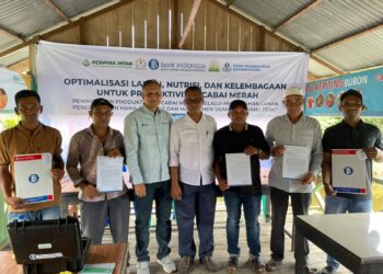 Bank Indonesia Perkuat Klaster Petani Cabai Merah di Aceh Barat